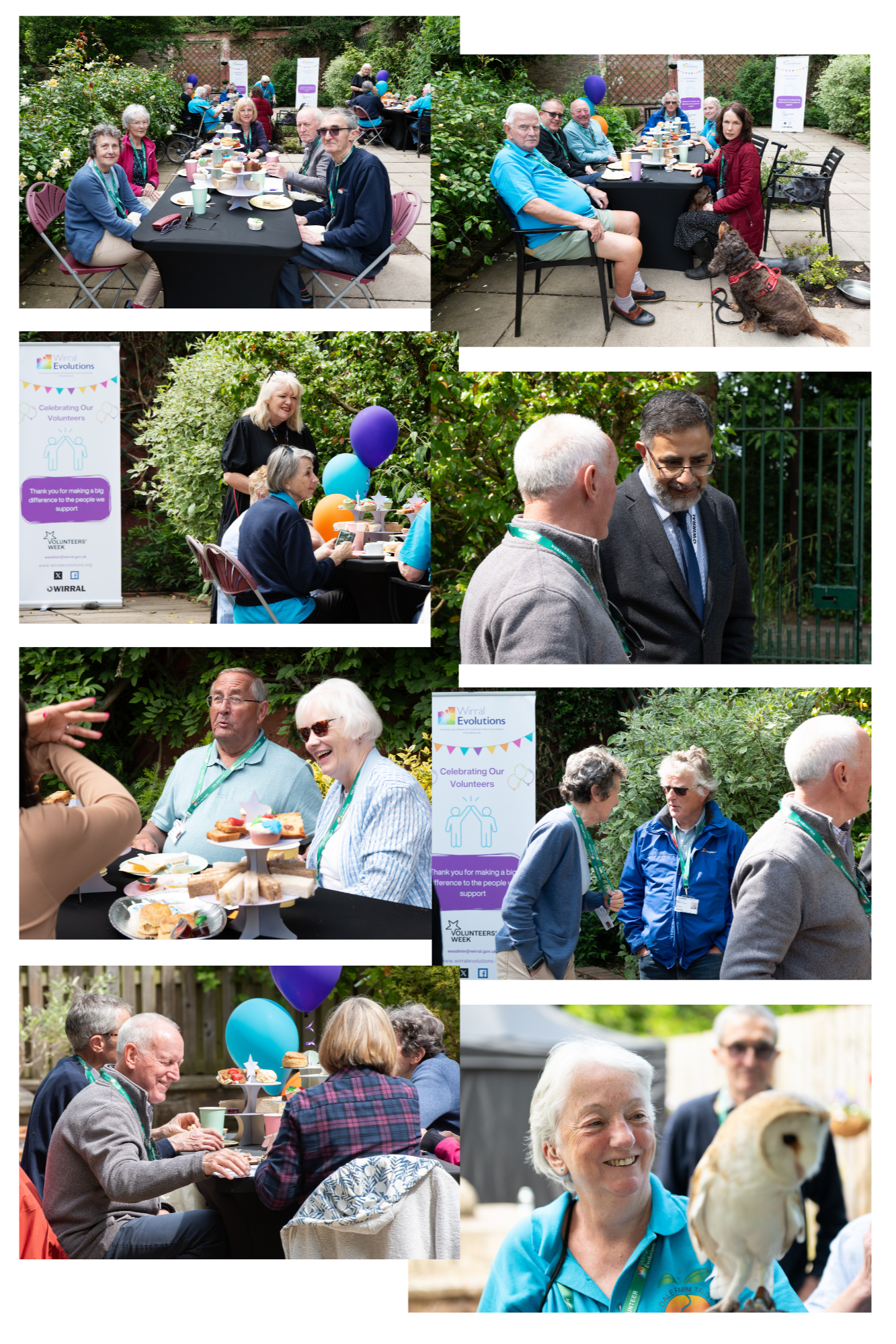 Volunteer Collage